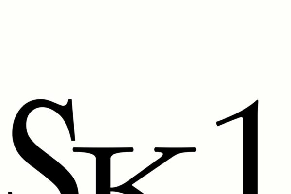 Jerskin Fendrix - Sk1 - BestNewMusic2025 - New Music 2025 > Q2 > W20