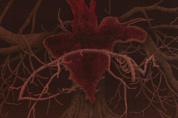 Cardinals - Big Empty Heart - BestNewMusic2025 - New Music 2025 > Q2 > W24