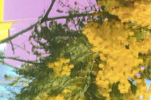Four Tet - Into Dust (Still Falling) - BestNewMusic2025 - New Music 2025 > Q2 > W25