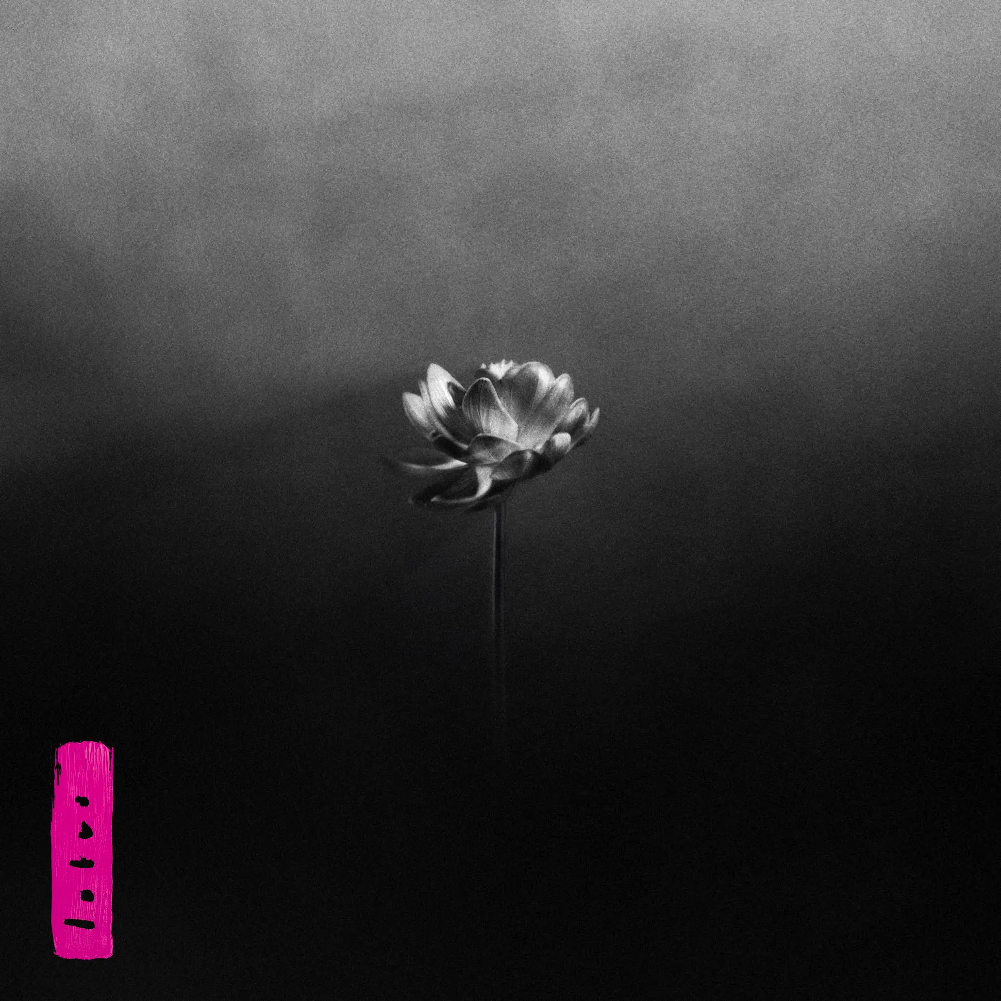 Little-Simz - Lotus