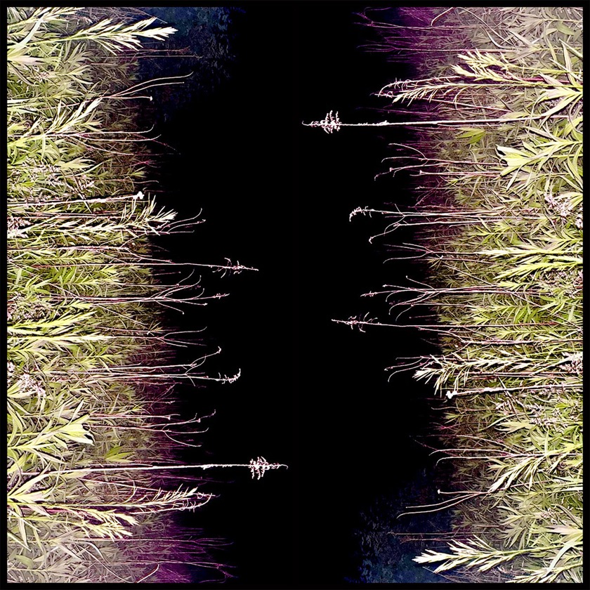 Giant Day - Devil Dog - BestNewMusic2025 - New Music 2025 > Q3 > W30
