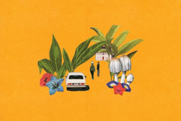 Monster Rally, Mei Semones - Your Old House (feat. Mei Semones) - BestNewMusic2025 - New Music 2025 > Q3 > W35