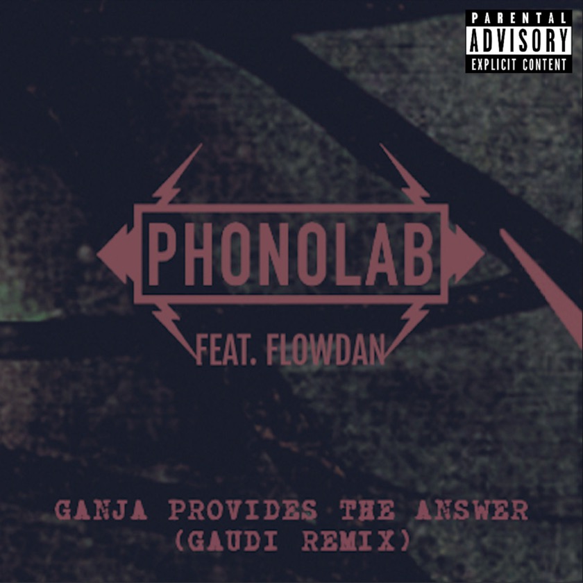 PHONOLAB feat FLOWDAN - Ganja Provides The Answer (Gaudi remix) - BestNewMusic2025 - New Music 2025 > Q3 > W39