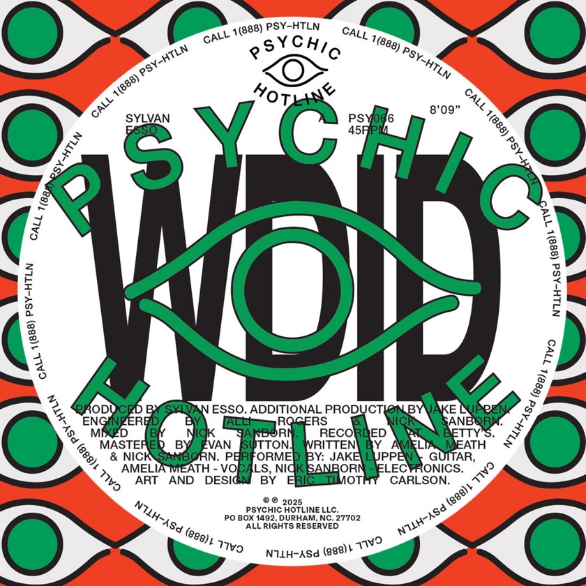 Sylvan Esso - WDID - BestNewMusic2025 - New Music 2025 > Q4 > W40