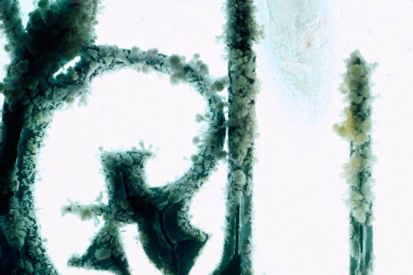 Model/Actriz - Cinderella (Olof Dreijer Remix) - BestNewMusic2025 - New Music 2025 > Q4 > W45