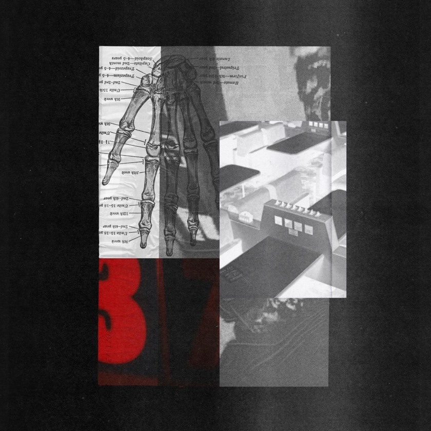 Mount Palomar ft. Pip Blom - Little Fractures - BestNewMusic2025 - New Music 2025 > Q4 > W47