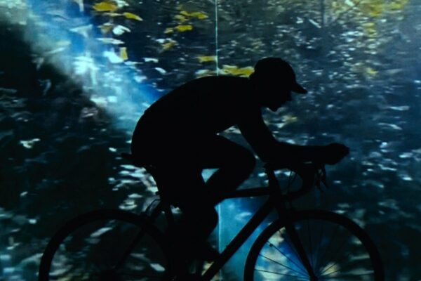 Chaton Laveur - Contre-La-Montre - BestNewMusic2025 - New Music 2025 > Q4 > W49