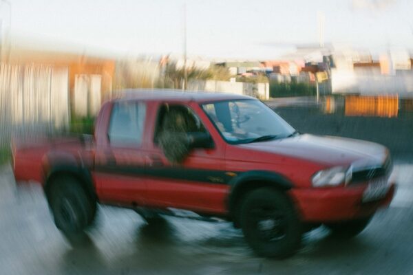 Adult DVD - Real Tree Lee - BestNewMusic2026 - New Music 2026 > Q1 > W4