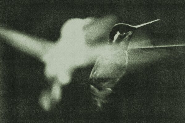 Wings of Desire - Whisper - BestNewMusic2026 - New Music 2026 > Q1 > W4