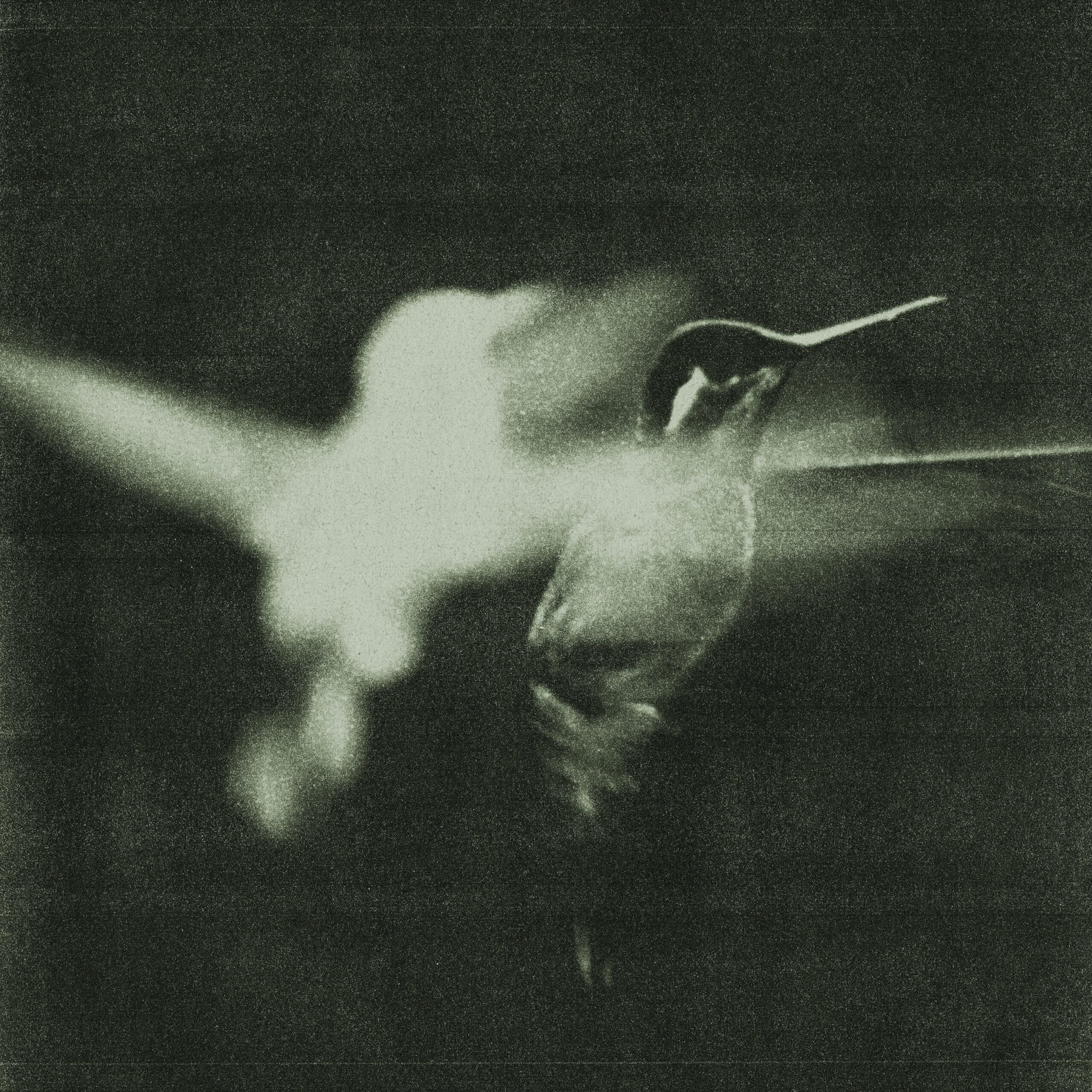 Wings of Desire - Whisper - BestNewMusic2026 - New Music 2026 > Q1 > W4