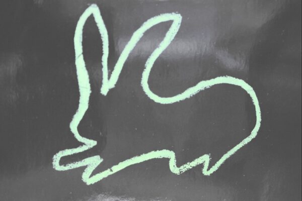 1000 Rabbits - Virgin Soil - BestNewMusic2026 - New Music 2026 > Q1 > W8