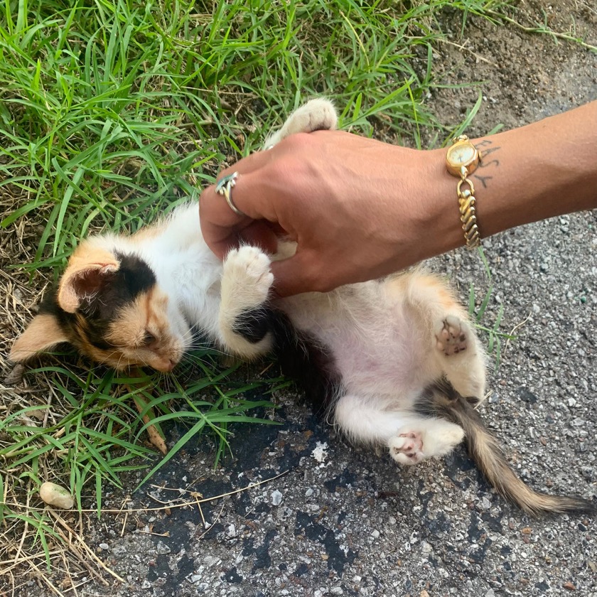 Dori Valentine - Leo - BestNewMusic2026 - New Music 2026 > Q1 > W6