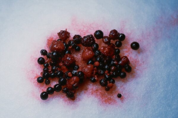 Night Swimming - Poison Berry - BestNewMusic2026 - New Music 2026 > > W09