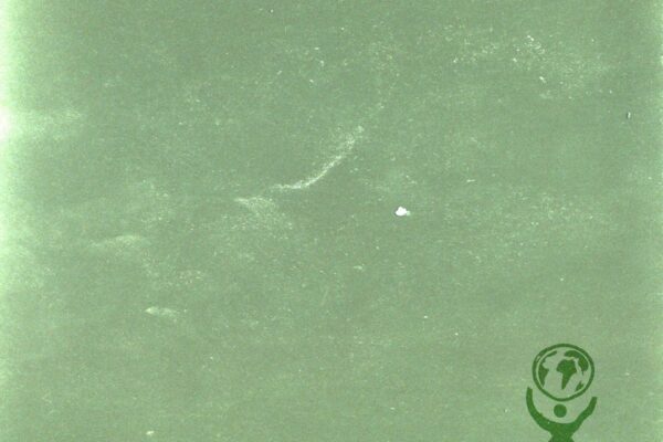 Oscar Farrell - Tell It Like It Is - BestNewMusic2026 - New Music 2026 > > W09