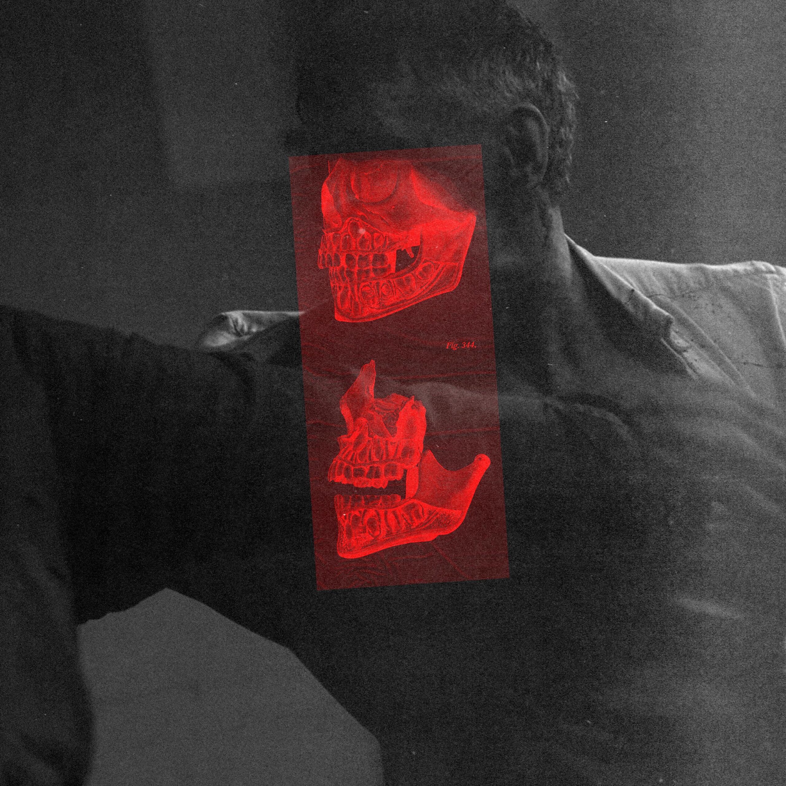 Mount Palomar ft. Enola Gay - Feeding Frenzy - BestNewMusic2026 - New Music 2026 > Q1 > W13