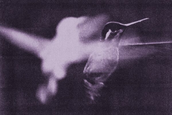 Wings of Desire - This Is The Life - BestNewMusic2026 - New Music 2026 > Q1 > W12