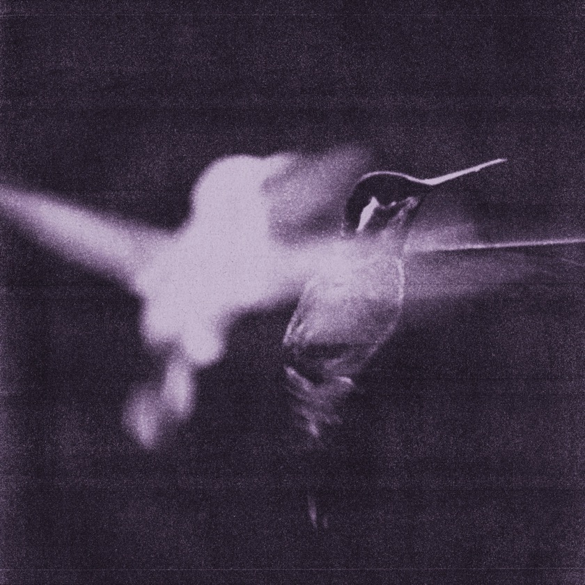 Wings of Desire - This Is The Life - BestNewMusic2026 - New Music 2026 > Q1 > W12