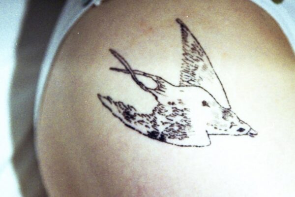 mary in the junkyard - Crash Landing - BestNewMusic2026 - New Music 2026 > Q1 > W13