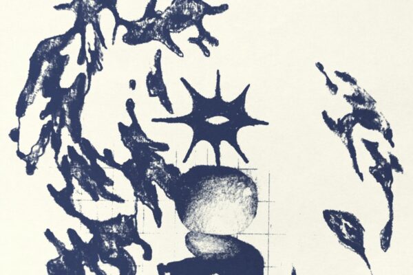 newhvn - Skin off the Bone - BestNewMusic2026 - New Music 2026 > Q1 > W11