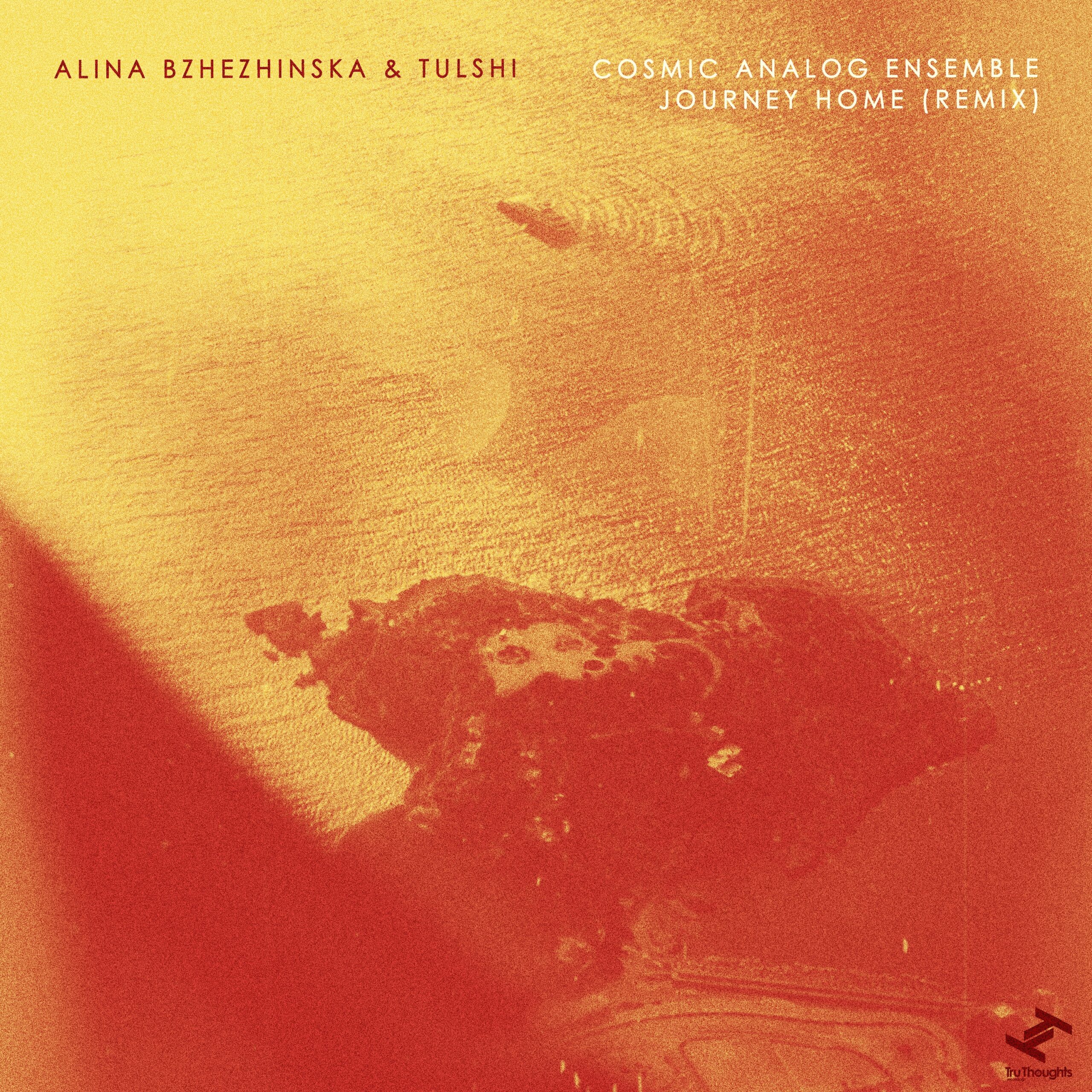 Alina Bzhezhinska, Tulshi, Cosmic Analog Ensemble - Journey Home (Cosmic Analog Ensemble Remix) - BestNewMusic2026 - New Music 2026 > Q2 > W18