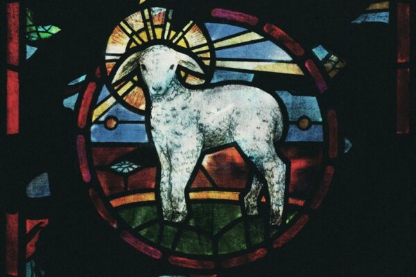 Basht. - Perfume - BestNewMusic2026 - New Music 2026 > Q2 > W17