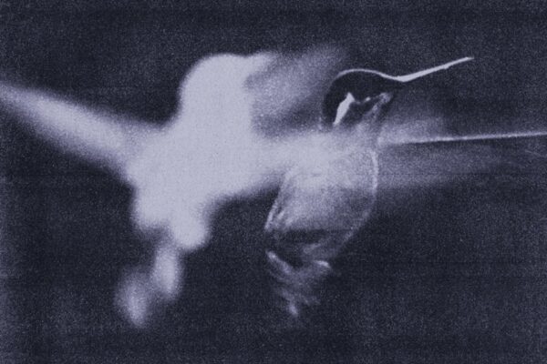 Wings of Desire - Just to Survive - BestNewMusic2026 - New Music 2026 > Q2 > W16