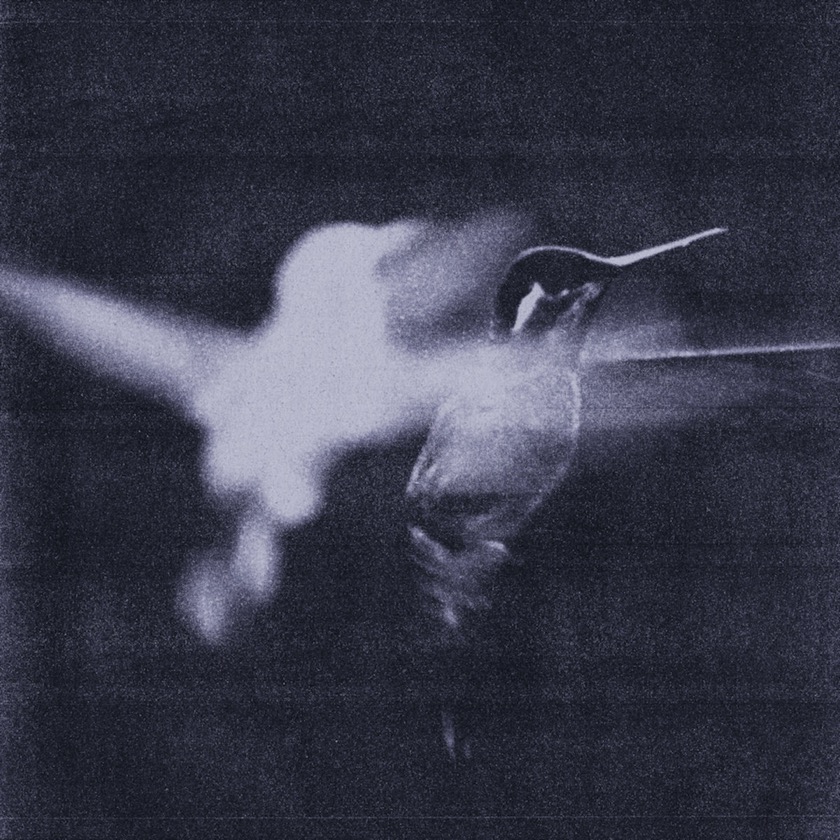 Wings of Desire - Just to Survive - BestNewMusic2026 - New Music 2026 > Q2 > W16