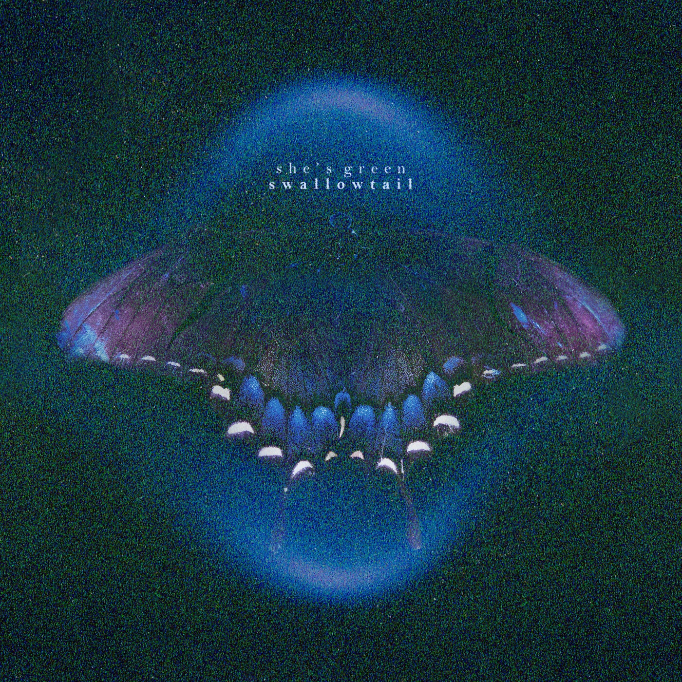 she’s green - paper thin - BestNewMusic2026 - New Music 2026 > Q2 > W14