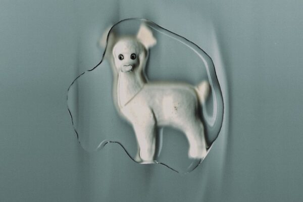 The Healing Power of Horses - i wait, i sink - BestNewMusic2026 - New Music 2026 > Q2 > W20