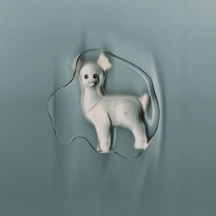 The Healing Power of Horses - i wait, i sink - BestNewMusic2026 - New Music 2026 > Q2 > W20
