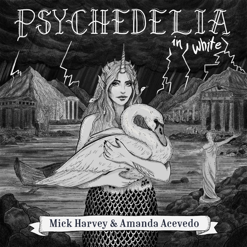 Mick Harvey & Amanda Acevedo - Perfect Storm - BestNewMusic2026 - New Music 2026 > Q2 > W24