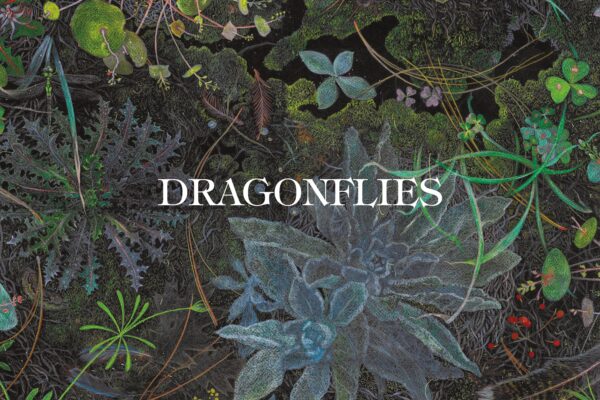 Dragonflies - Slower - BestNewMusic2026 - New Music 2026 > Q3 > W30