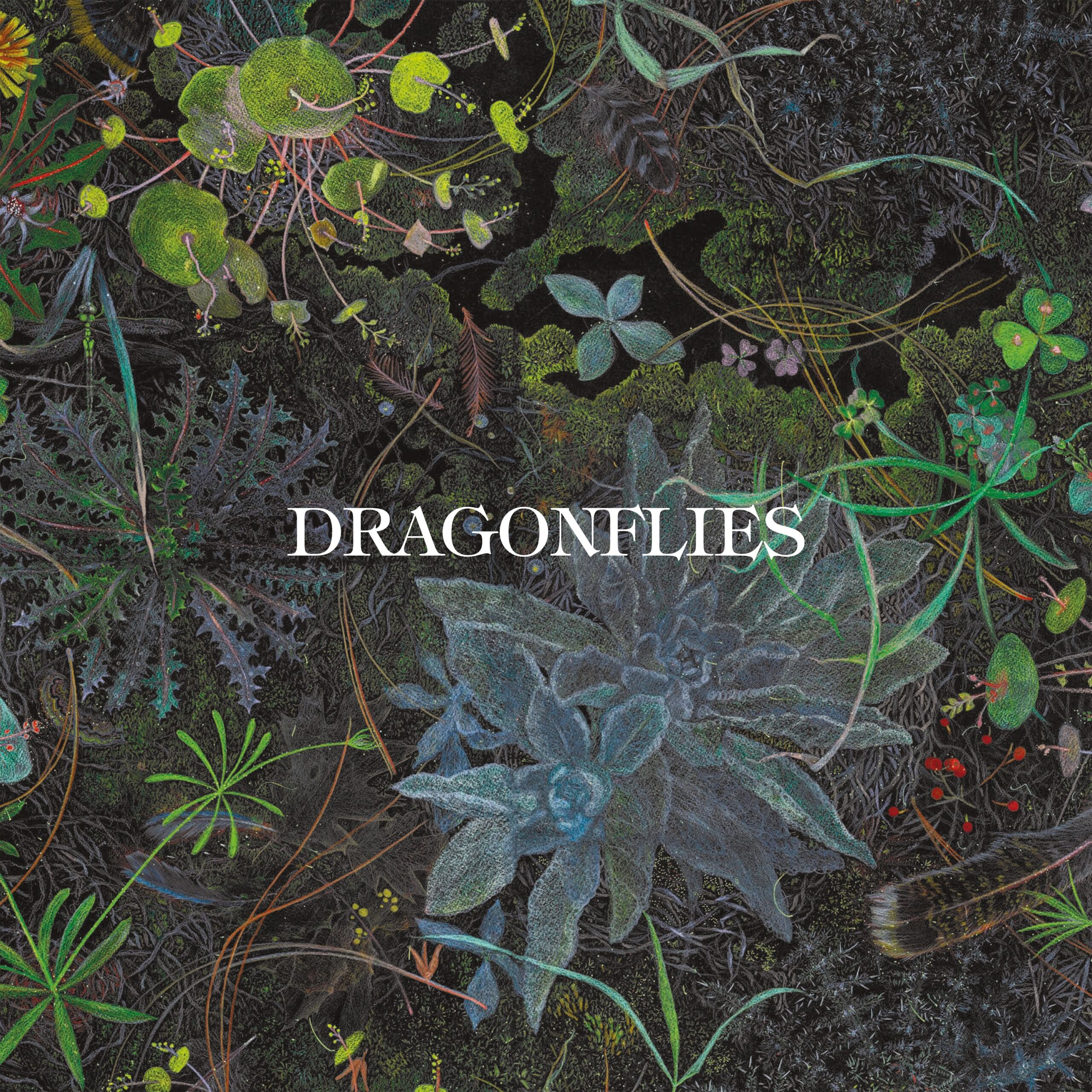Dragonflies - Slower - BestNewMusic2026 - New Music 2026 > Q3 > W30