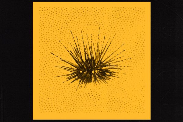Do Nothing - Act Natural - BestNewMusic2026 - New Music 2026 > Q3 > W31