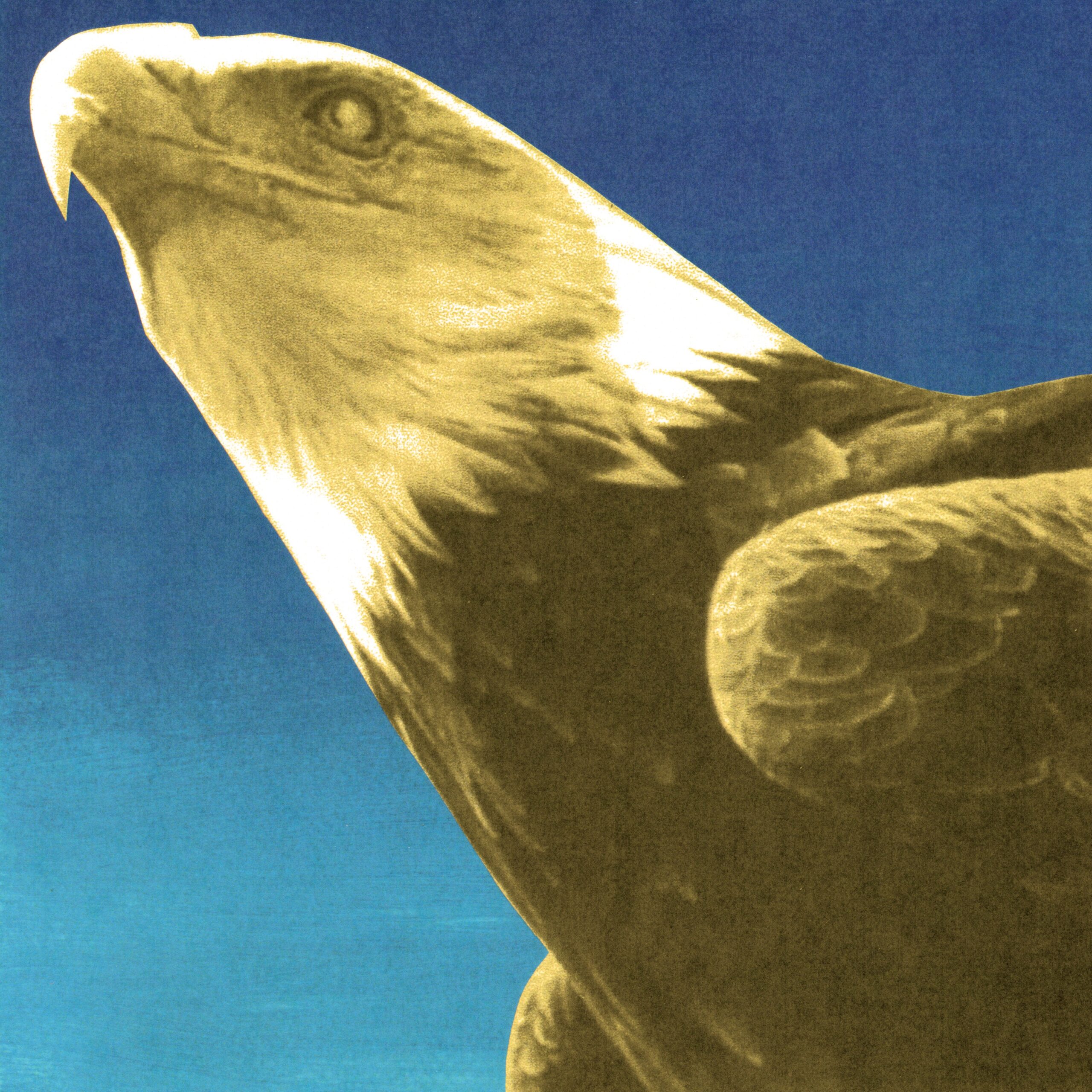 Protomartyr - Exalted Eagles - BestNewMusic2026 - New Music 2026 > Q3 > W39