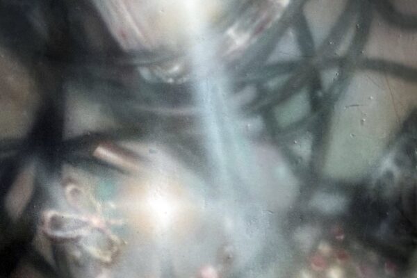 untitled (halo) - easy rider - BestNewMusic2026 - New Music 2026 > Q3 > W38